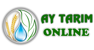Ay Tarım Gülşehir | Tarım Ürünleri Tohum, Tarım İlacı, Gübre, Zirai Aletler, Tarım Aletleri, Yağmurlama, Dalgıç Pompa, Sulama Boruları